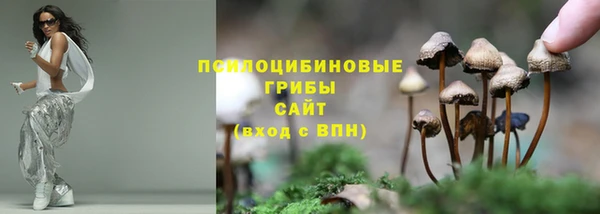 таблы Лиски