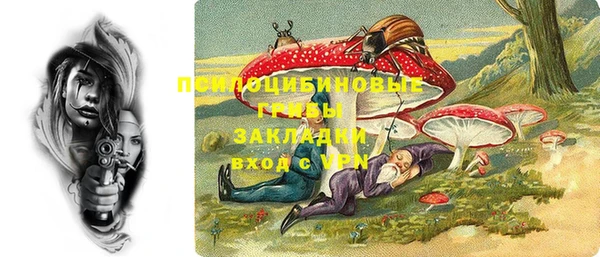 apvp Лихославль