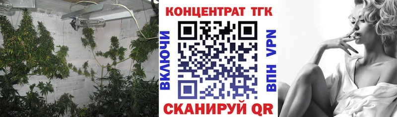 Купить закладки  Нытва  ТГК гашишное масло 