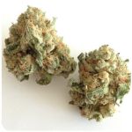 Шишки "White Widow"  (Белая вдова)  Гидропоника -  Бошка VHQ в Нытве
